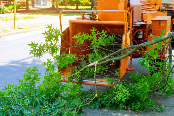 Best Firewood Processing and Delivery  in Kihei, HI